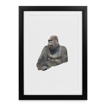gorilla - Affiche encadrée (27 × 37 cm) - noir - Devant
