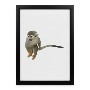 singe - Affiche encadrée (27 × 37 cm) - noir - Devant