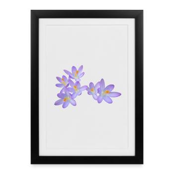 Fleurs de printemps violettes (crocus) - Affiche encadrée (27 × 37 cm) - noir - Devant