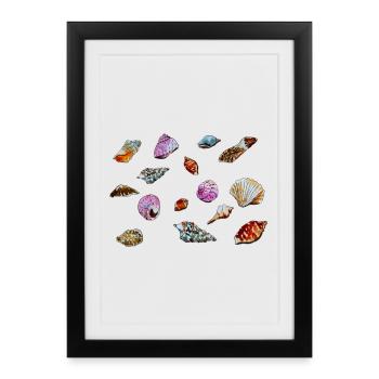 Colourful Seashells Marine Pattern - Framed poster (27 × 37 cm) - black - Front