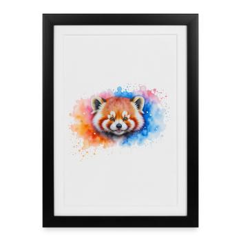Aquarelle Red Panda Splash - Affiche encadrée (27 × 37 cm) - noir - Devant