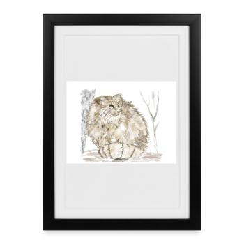Manul wild cat - Framed poster (27 × 37 cm) - black - Front