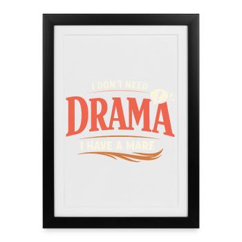 Horse Mood Humor Experienced Horse Owner - Framed poster (27 × 37 cm) - black - Front