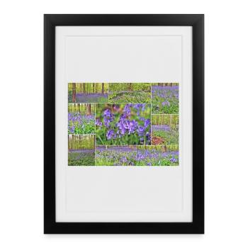 Purple Forest Wild Hyacinth Collage - Framed poster (27 × 37 cm) - black - Front