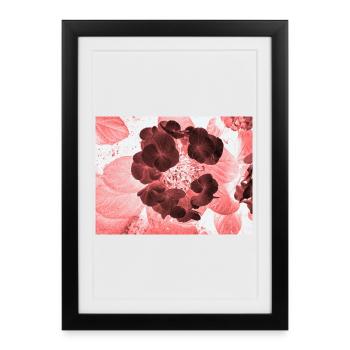 Rote Hydrangea Florales Muster - Gerahmtes Poster (27 × 37 cm) - Schwarz - Vorne