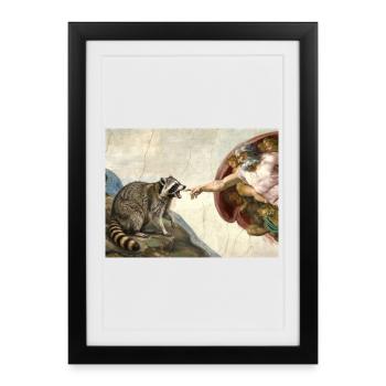 Mème raton laveur battant la main de Dieu - Affiche encadrée (27 × 37 cm) - noir - Devant