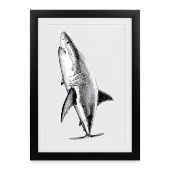 Grand requin blanc - Grand requin blanc - Affiche encadrée (27 × 37 cm) - noir - Devant