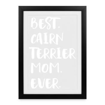 Cairn Terrier - Affiche encadrée (27 × 37 cm) - noir - Devant