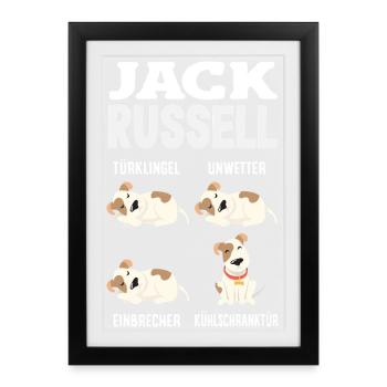 Funny Jack Russell Owner Gift - Framed poster (27 × 37 cm) - black - Front