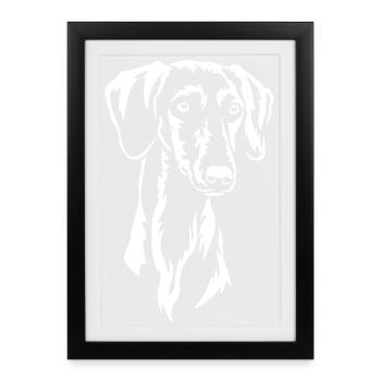 Saluki Head "Black Edition" - Framed poster (27 × 37 cm) - black - Front