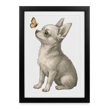 Chihuahua dog looking at butterfly - Framed poster (27 × 37 cm) - black - Front
