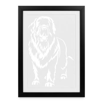 Édition « Black » de Terre-Neuve - Affiche encadrée (27 × 37 cm) - noir - Devant