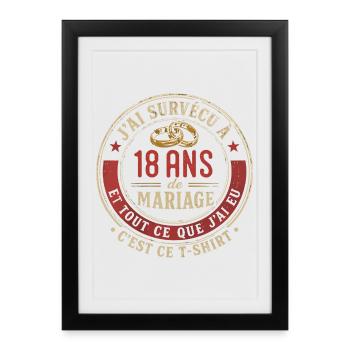 Humour Anniversaire : J'ai Survécu à 18 Ans - Affiche encadrée (27 × 37 cm) - noir - Devant