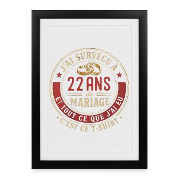 Humour Anniversaire : J'ai Survécu à 22 Ans - Affiche encadrée (27 × 37 cm) - noir - Devant