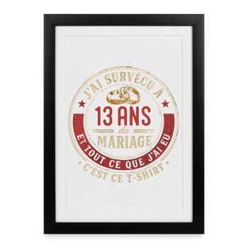 Humour Anniversaire : J'ai Survécu à 13 Ans - Affiche encadrée (27 × 37 cm) - noir - Devant