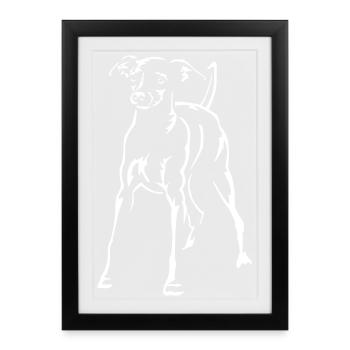 Dwarf Pinscher "Black Edition" - Framed poster (27 × 37 cm) - black - Front