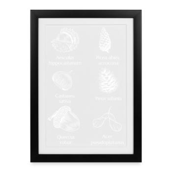 Nature's Bitter Sagittarius - Minimalist & Timeless - Framed poster (27 × 37 cm) - black - Front