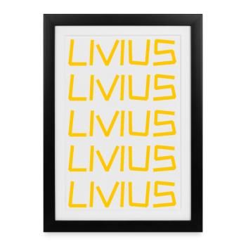 Livy - Affiche encadrée (27 × 37 cm) - noir - Devant