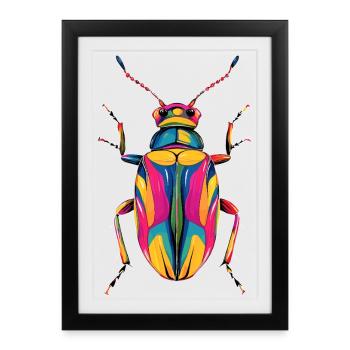Chatte-coq, Mignon scarabée cerf, Scarabée rhinocéros, Insectes - Affiche encadrée (27 × 37 cm) - noir - Devant