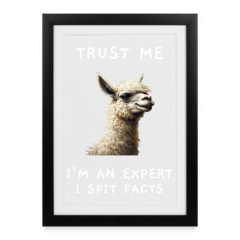 Funny Llama "I Spit Facts" Expert Saying - Framed poster (27 × 37 cm) - black - Front