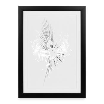 Phoenix from the ashes - Framed poster (27 × 37 cm) - black - Front