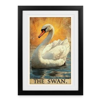 Swans Swan - Framed poster (27 × 37 cm) - black - Front