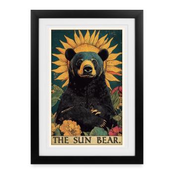 Sun Bear Malaienbär - Gerahmtes Poster (27 × 37 cm) - Schwarz - Vorne