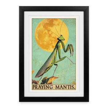 Praying mantises Praying mantis - Framed poster (27 × 37 cm) - black - Front