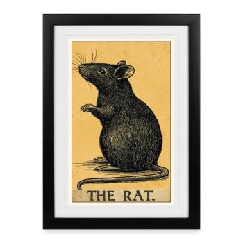 Rat Rat - Affiche encadrée (27 × 37 cm) - noir - Devant
