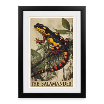 Fire Salamander Salamander - Framed poster (27 × 37 cm) - black - Front