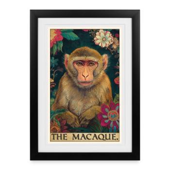 Macaque Macaque - Affiche encadrée (27 × 37 cm) - noir - Devant