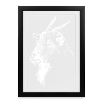 Graphisme minimaliste de silhouette de chèvre - Affiche encadrée (27 × 37 cm) - noir - Devant
