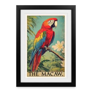 Macaw's Era - Framed poster (27 × 37 cm) - black - Front