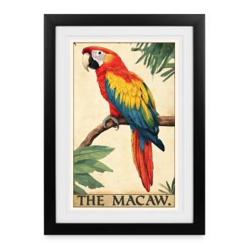 Macaw's Era - Framed poster (27 × 37 cm) - black - Front