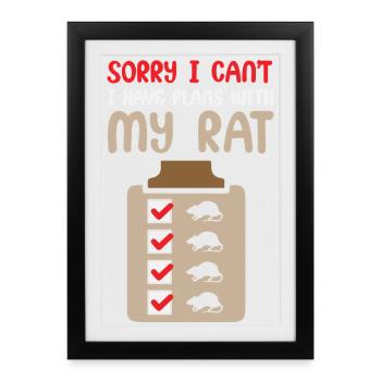Rat, rat de maison, propriétaire de rats, amoureux des rats - Affiche encadrée (27 × 37 cm) - noir - Devant