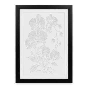 Orchid Linework Silk Floral - Framed poster (27 × 37 cm) - black - Front