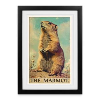 Marmots Groundhog - Framed poster (27 × 37 cm) - black - Front