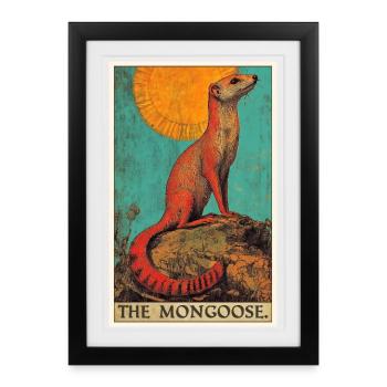 La mangouste de la mangouste - Affiche encadrée (27 × 37 cm) - noir - Devant