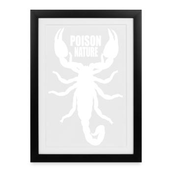 Poison Nature: Scorpion - Framed poster (27 × 37 cm) - black - Front