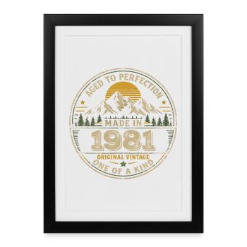 1981 Fête Anniversaire 1981 - Né en 1981 - Affiche encadrée (27 × 37 cm) - noir - Devant