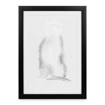 suricates - Affiche encadrée (27 × 37 cm) - noir - Devant