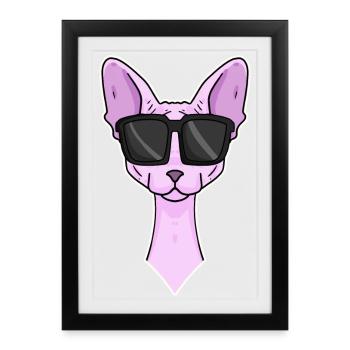 Chat cool avec lunettes de soleil - race de chat Sphynx - Affiche encadrée (27 × 37 cm) - noir - Devant