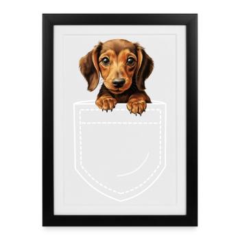 Chien Teckel Teckel - Affiche encadrée (27 × 37 cm) - noir - Devant