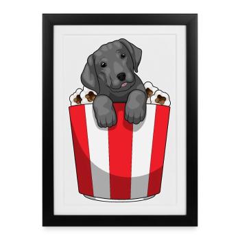 Maïs soufflé du Labrador - Affiche encadrée (27 × 37 cm) - noir - Devant