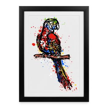 Parrot, Animal, Bird, Animal Lover, Zoo Animals, Pet - Framed poster (27 × 37 cm) - black - Front