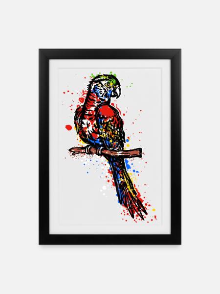 Perroquet, Animal, Oiseau, Amoureux Des Animaux, Animaux De Zoo, Animal De Compagnie - Affiche encadrée (27 × 37 cm) - noir