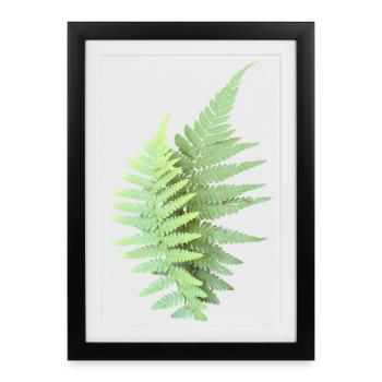Fern Leaves Fern Leaves Green - Framed poster (27 × 37 cm) - black - Front