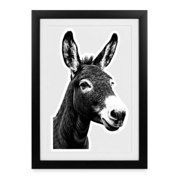 Portrait d’âne – naturel et fort de caractère - Affiche encadrée (27 × 37 cm) - noir - Devant