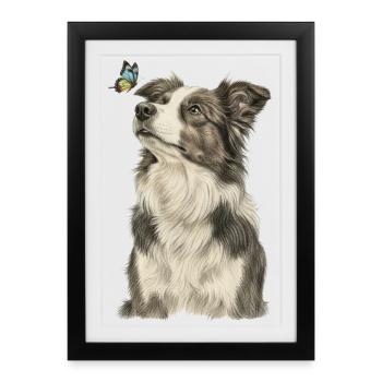 Border Collie Dog with Butterfly - Framed poster (27 × 37 cm) - black - Front