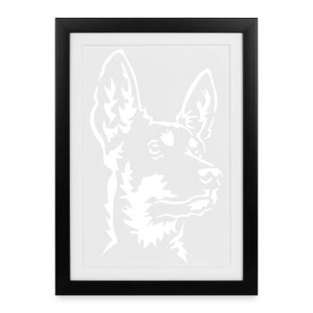 Tête de Kelpie australienne « Black Edition » - Affiche encadrée (27 × 37 cm) - noir - Devant